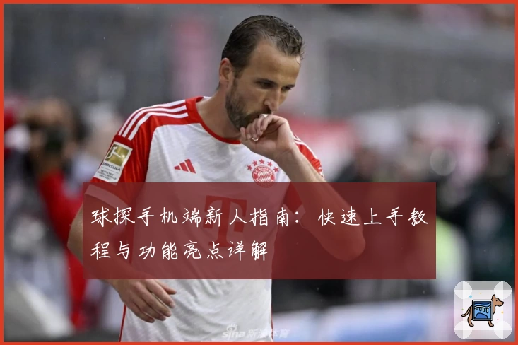 球探手机端新人指南：快速上手教程与功能亮点详解