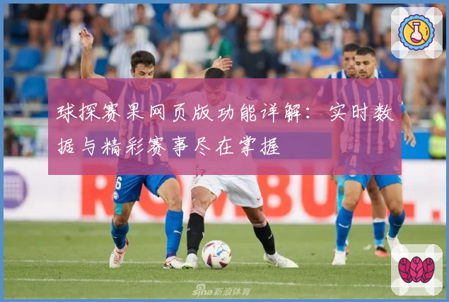 球探赛果网页版功能详解：实时数据与精彩赛事尽在掌握