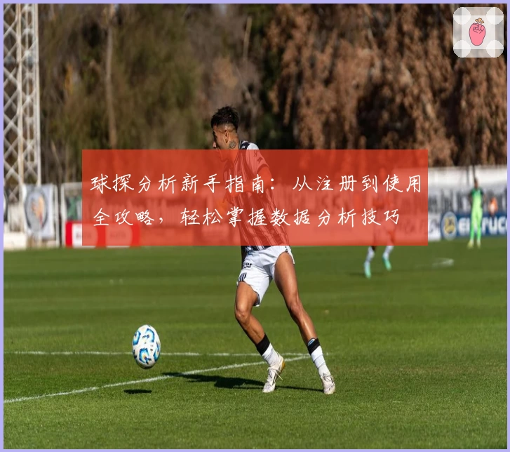 球探分析新手指南：从注册到使用全攻略，轻松掌握数据分析技巧