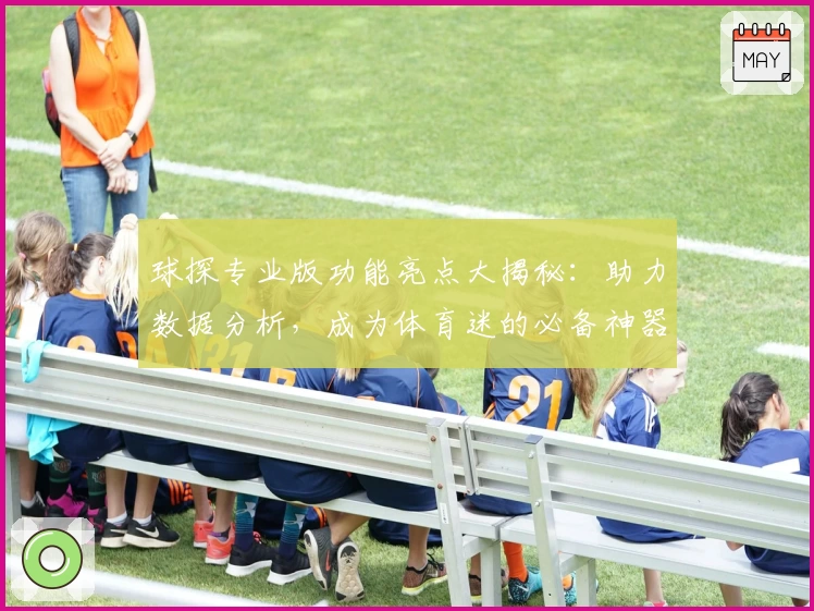 球探专业版功能亮点大揭秘：助力数据分析，成为体育迷的必备神器